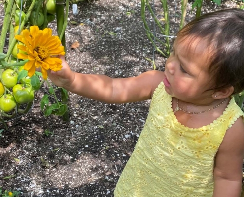 Tribal toddler exploring a garden