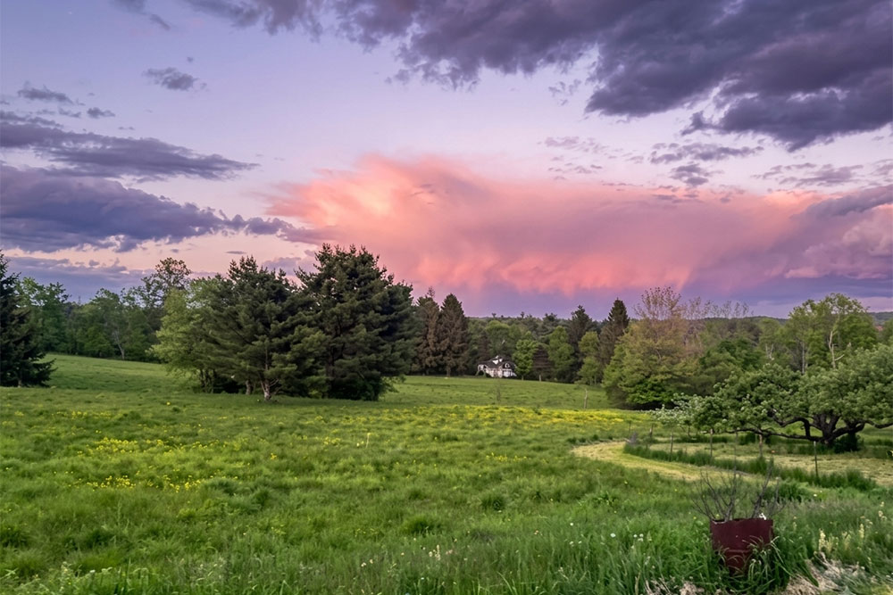 Rolling green meadow and trees under a dramatic pink and purple sunset sky, with a farmhouse nestled among the treeline.