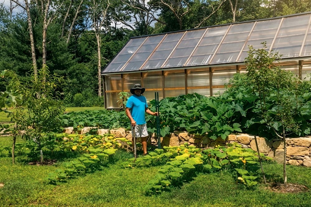Tending the Farm Farmer in a sun hat standing among sprawling squash plants beside a large greenhouse and stone wall on a sunny summer day.
