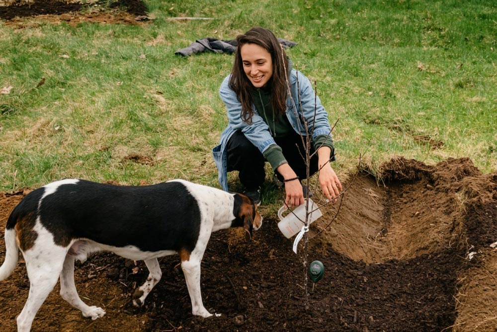 Planting a Tree at a PPLT Site