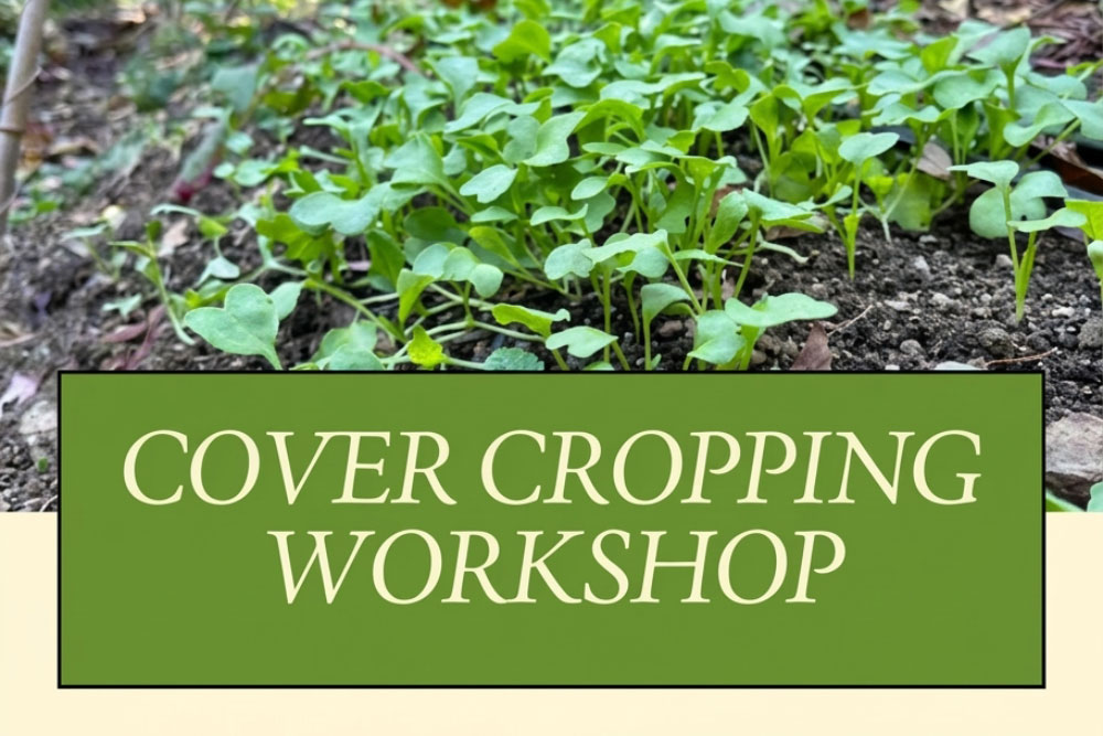 Cover Cropping Workshop